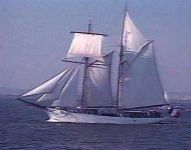 Kliknij - powikszenie (14kB)