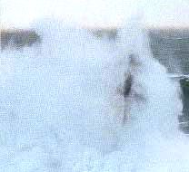 latar3.jpg